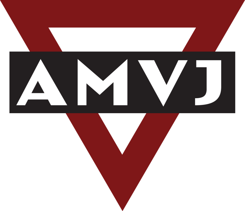 AMVJ 4