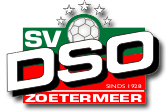 DSO O8-3